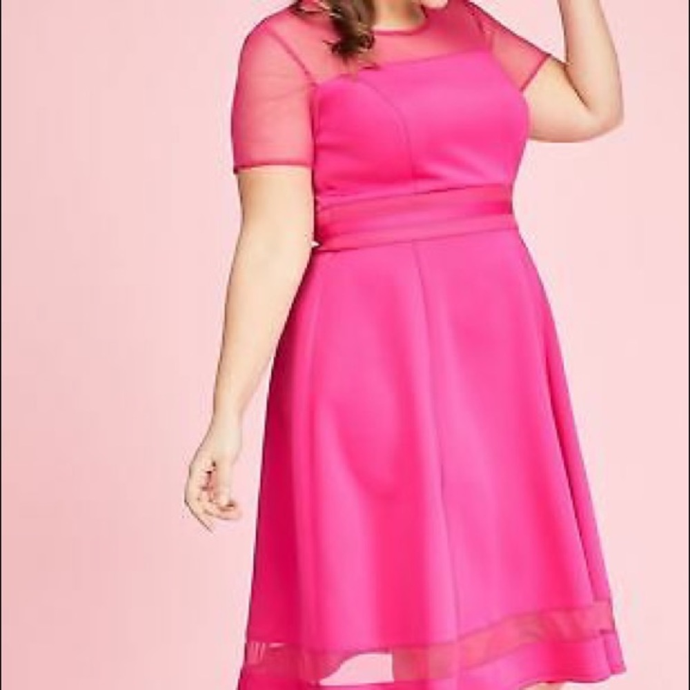 Lane Bryant Dress Fit ‘N Flare Scuba Pink 22/24